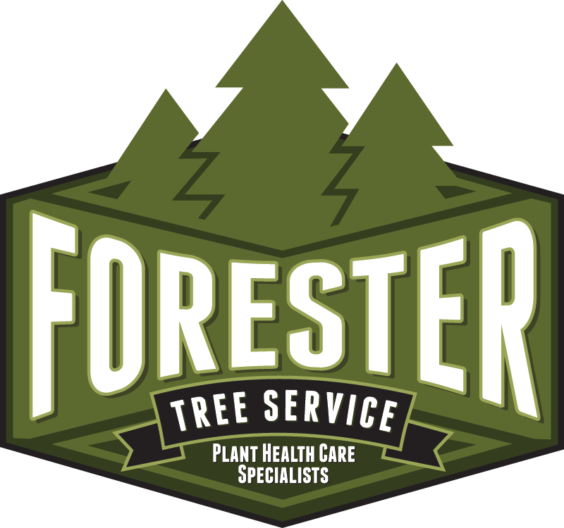 Forester Tree Service