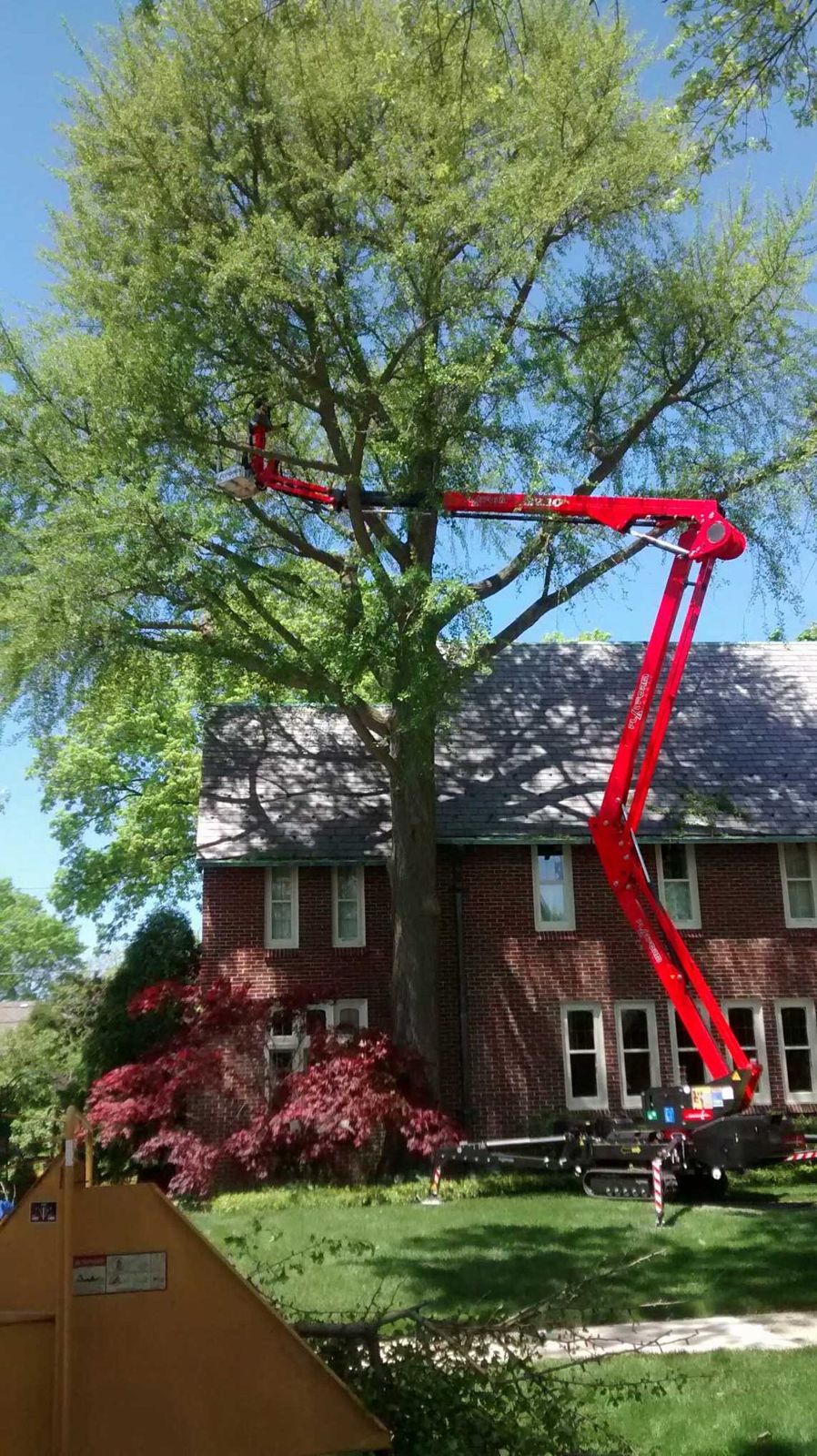 Red aerial lift pruning a mature tree beside a brick home