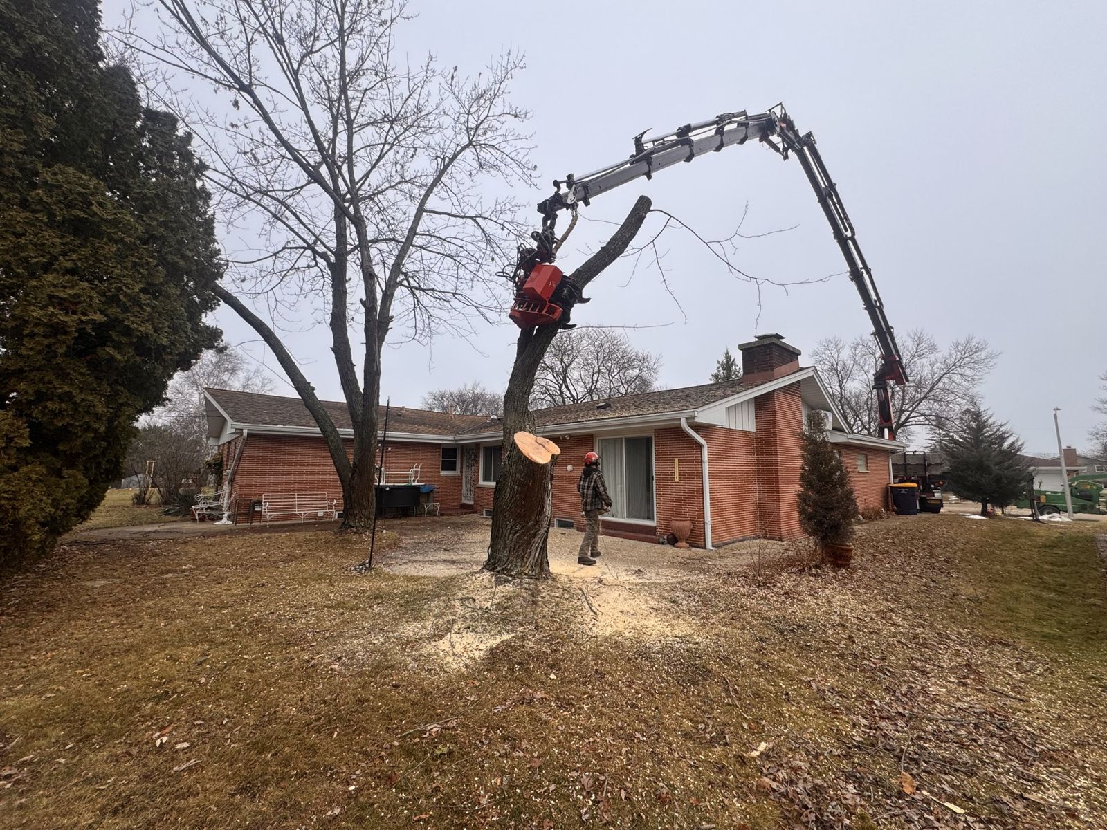 Grapple-saw crane lifting a trunk section during a removal