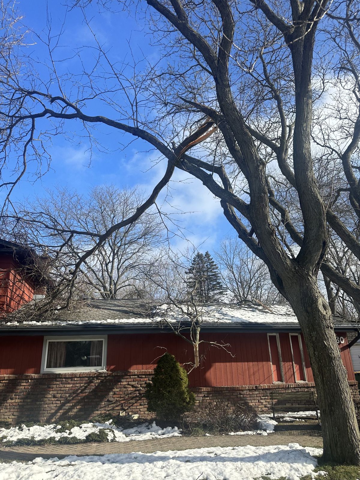 Ice-laden branch down on a home's roof after a winter storm